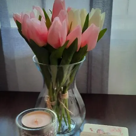 Stan Na Dan Dunja 2 Apartman *