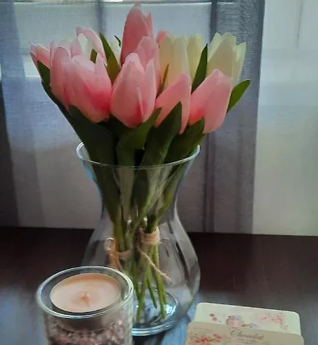 Stan Na Dan Dunja 2 아파트 *